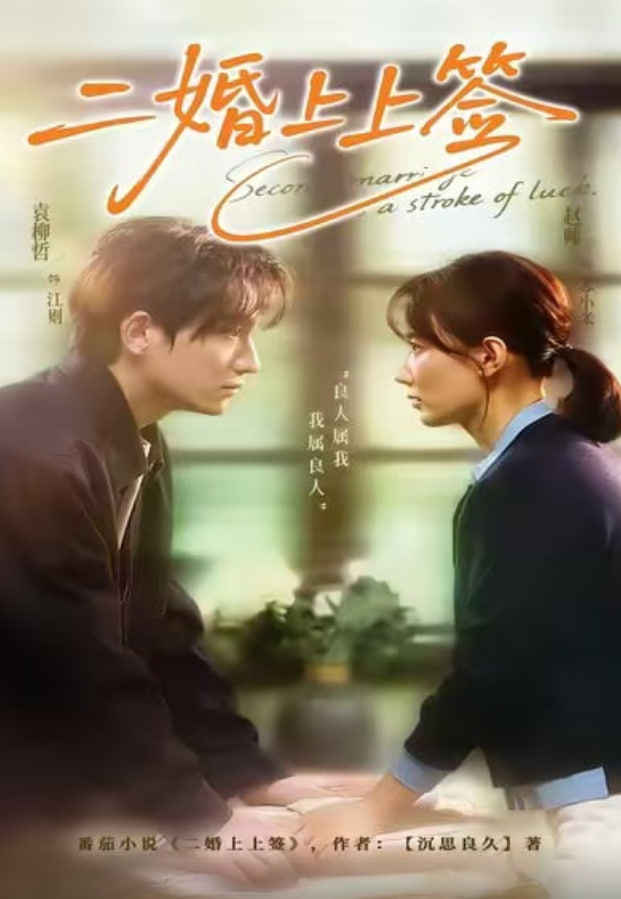 二婚上上签封面图