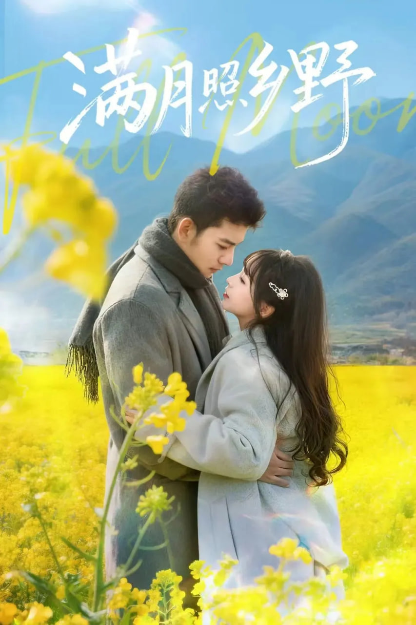 满月照乡野封面图
