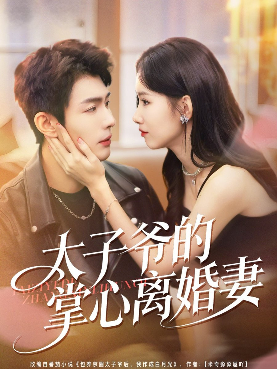 太子爷的掌心离婚妻封面图