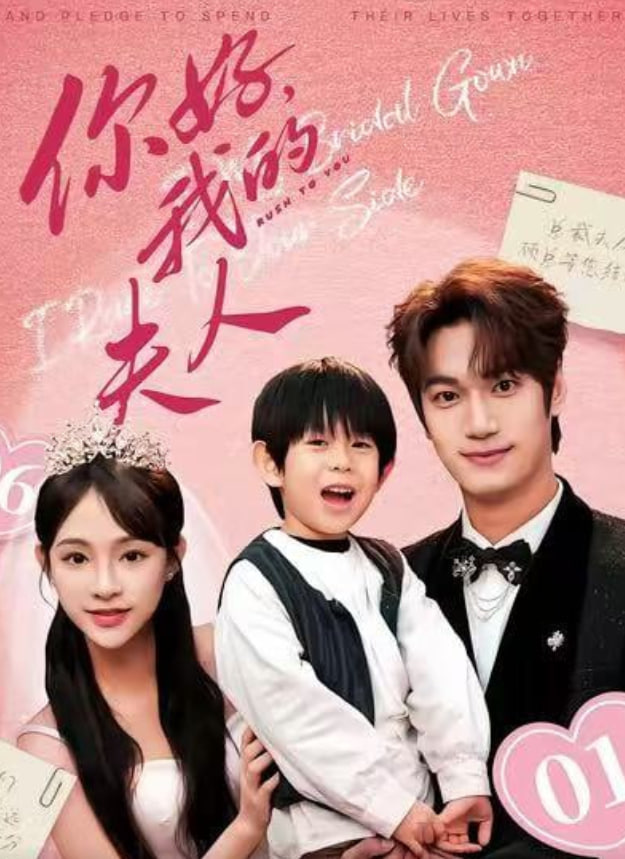 顾总，我才是你的夫人（你好，我的夫人）封面图