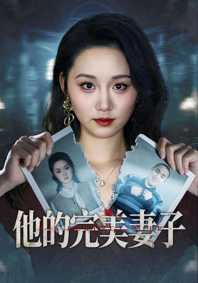 他的完美妻子封面图