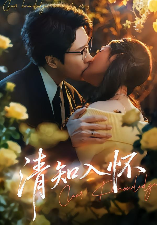 清知入怀封面图
