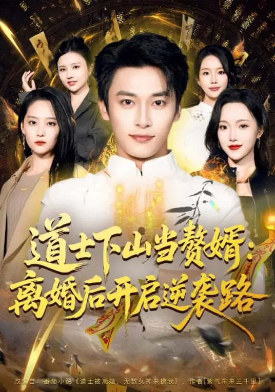 道士下山当赘婿：离婚后开启逆袭路封面图