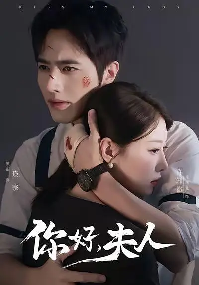 你好夫人封面图