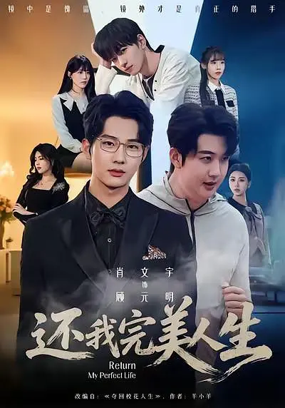 还我完美人生封面图