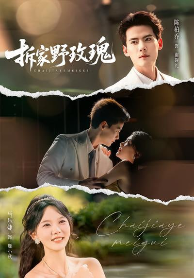 拆家野玫瑰封面图