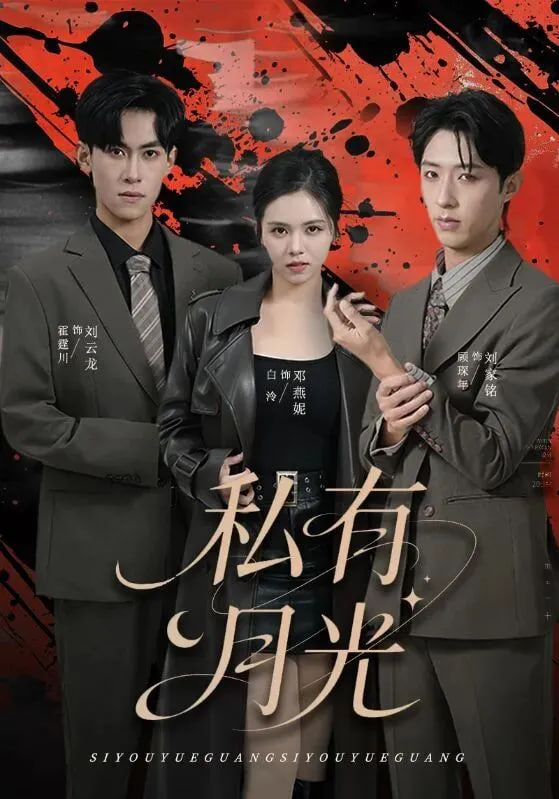 私有月光封面图