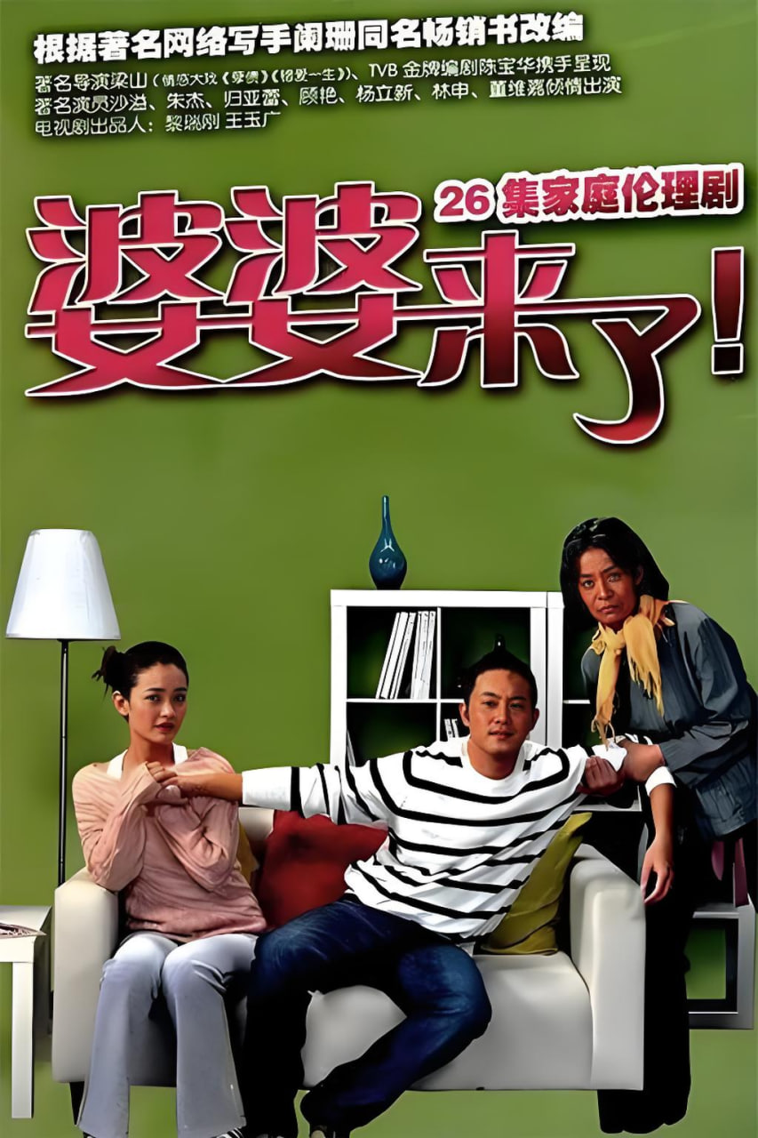 婆婆来了封面图