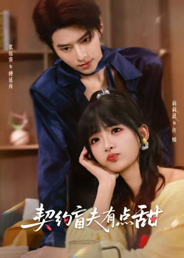 契约盲夫有点甜封面图