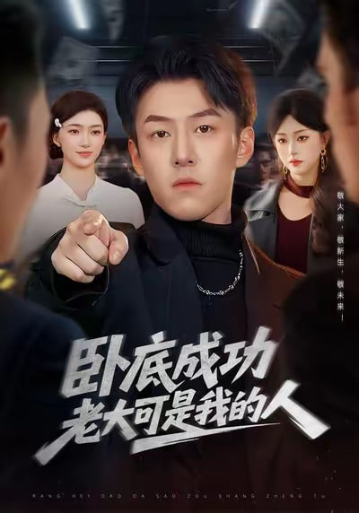 卧底成功老大可是我的人封面图