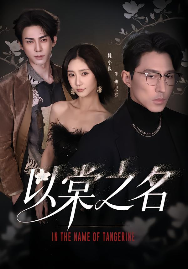 以棠之名封面图