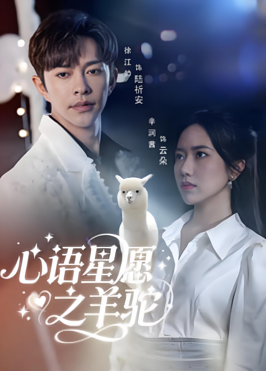 心语星愿之羊驼封面图