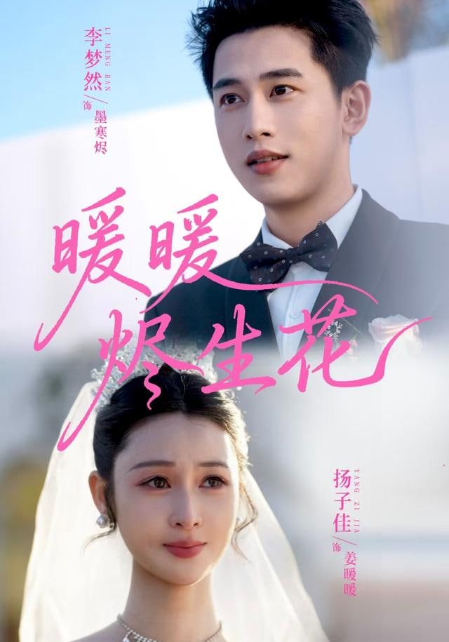 暖暖烬生花封面图