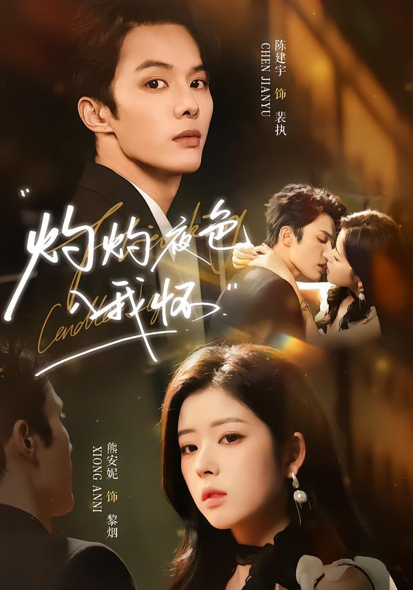 灼灼夜色入我怀封面图