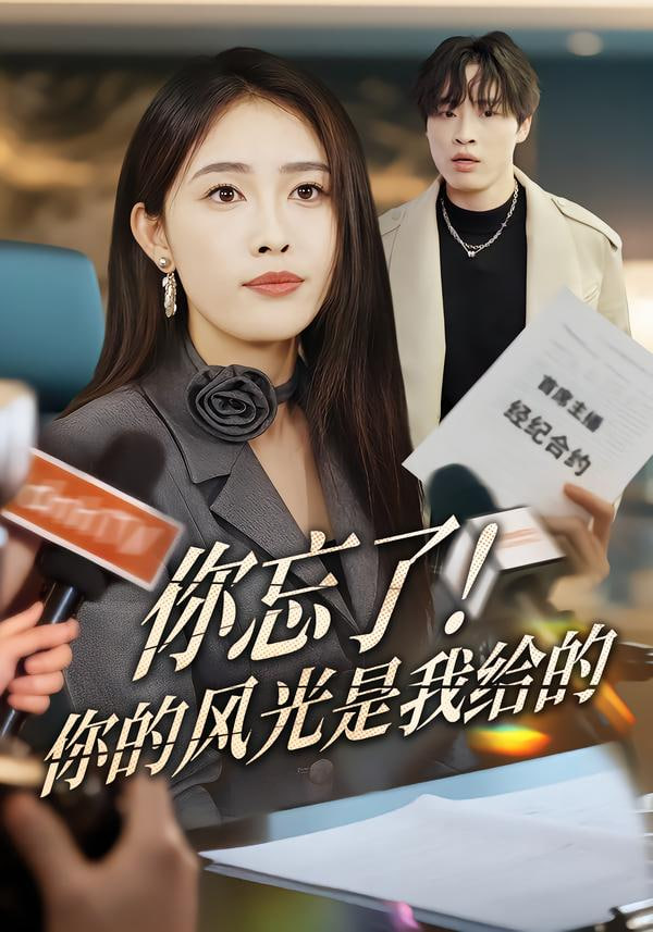 你忘了！你的风光是我给的封面图