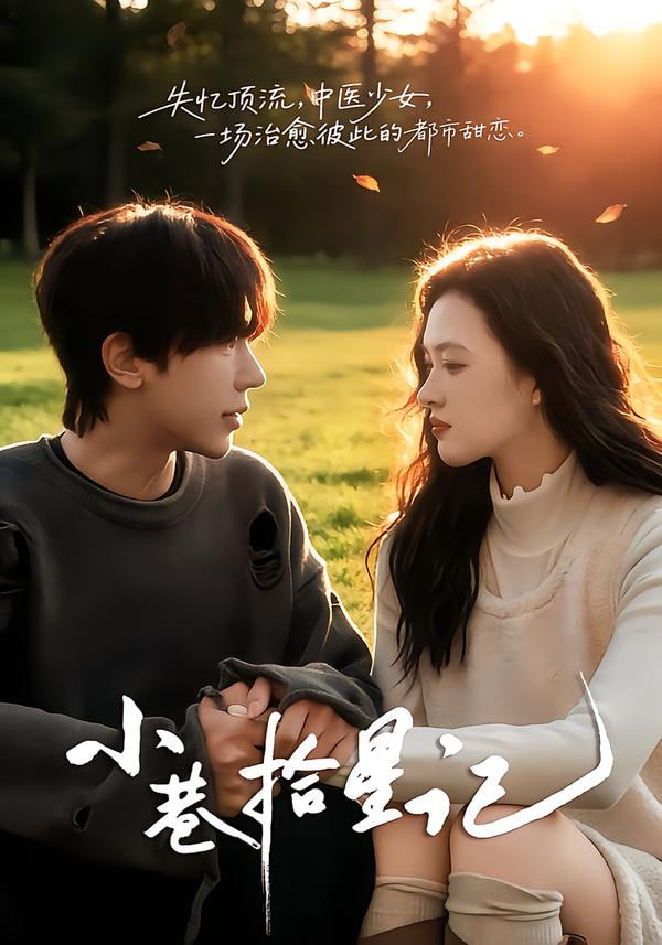 小巷拾星记封面图