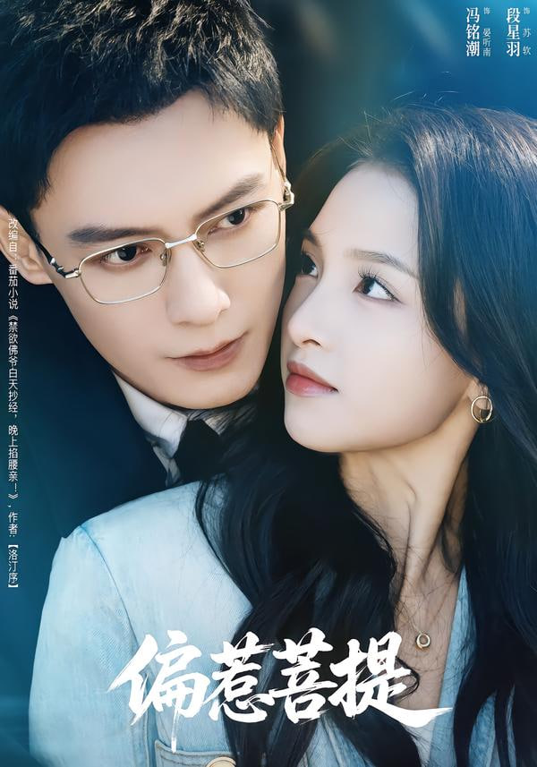 偏惹菩提封面图