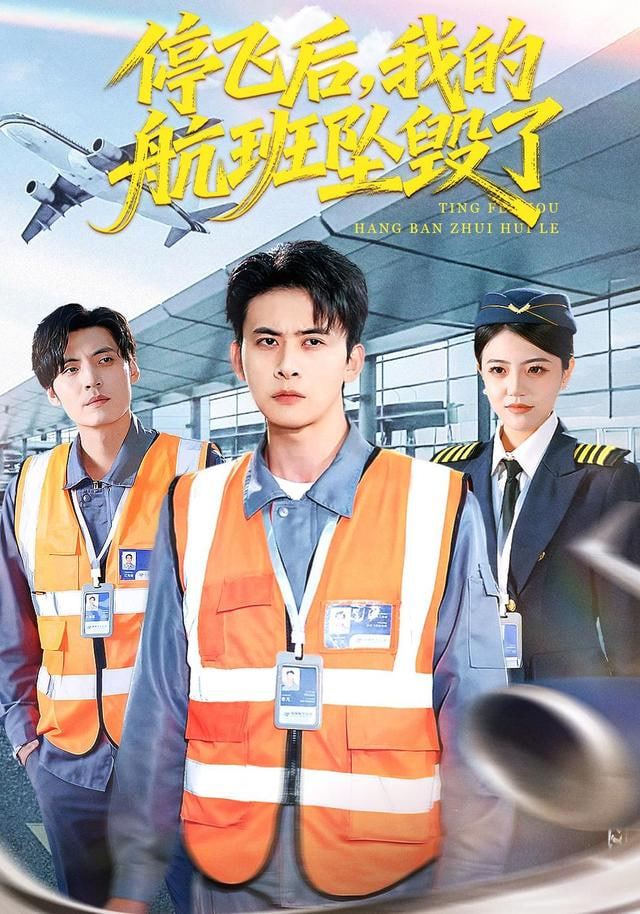 停飞后，我的航班坠毁了封面图