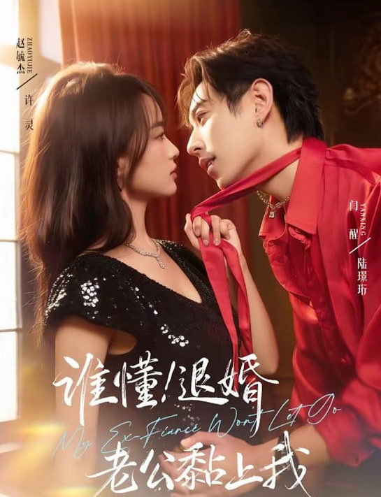 谁懂！退婚老公黏上我封面图