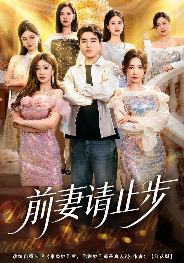 前妻请止步封面图