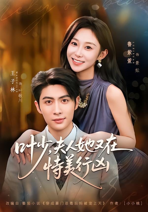 叶少，夫人她又在恃美行凶封面图