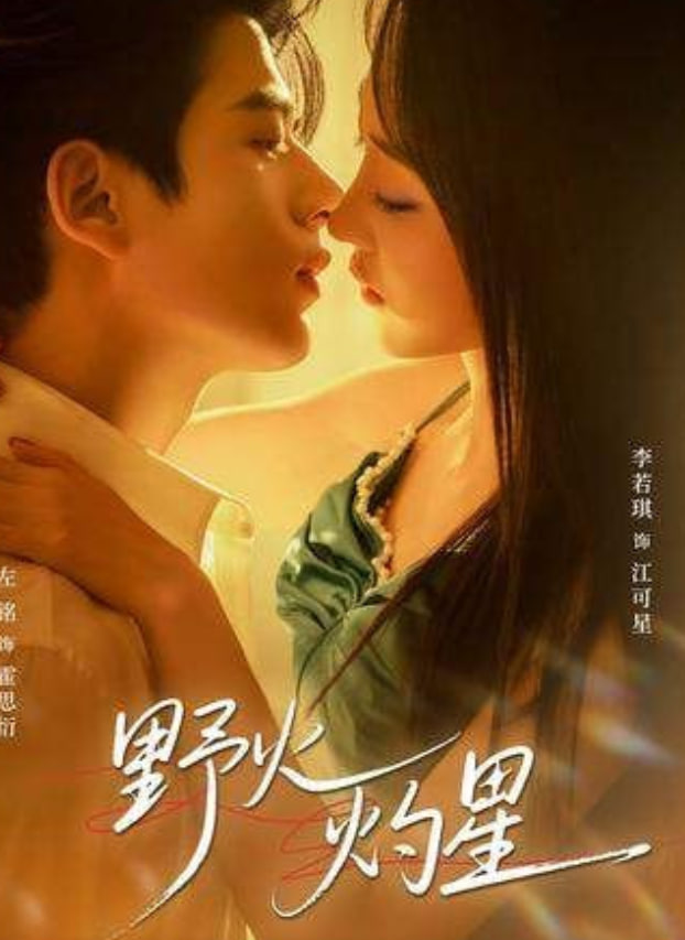 野火灼星封面图