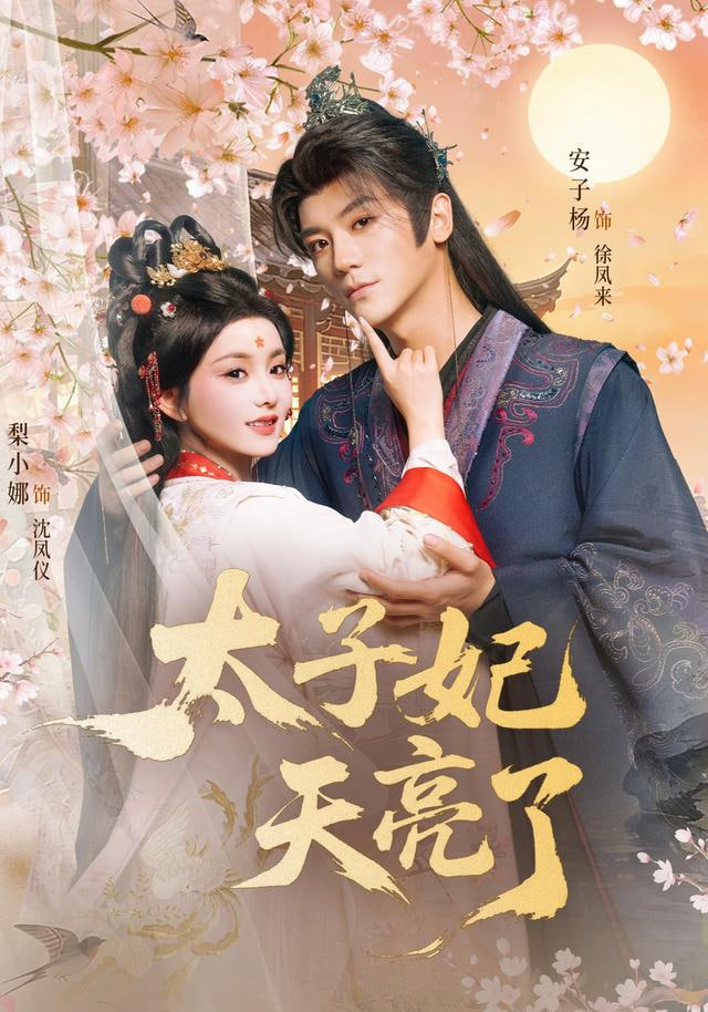 太子妃天亮了封面图
