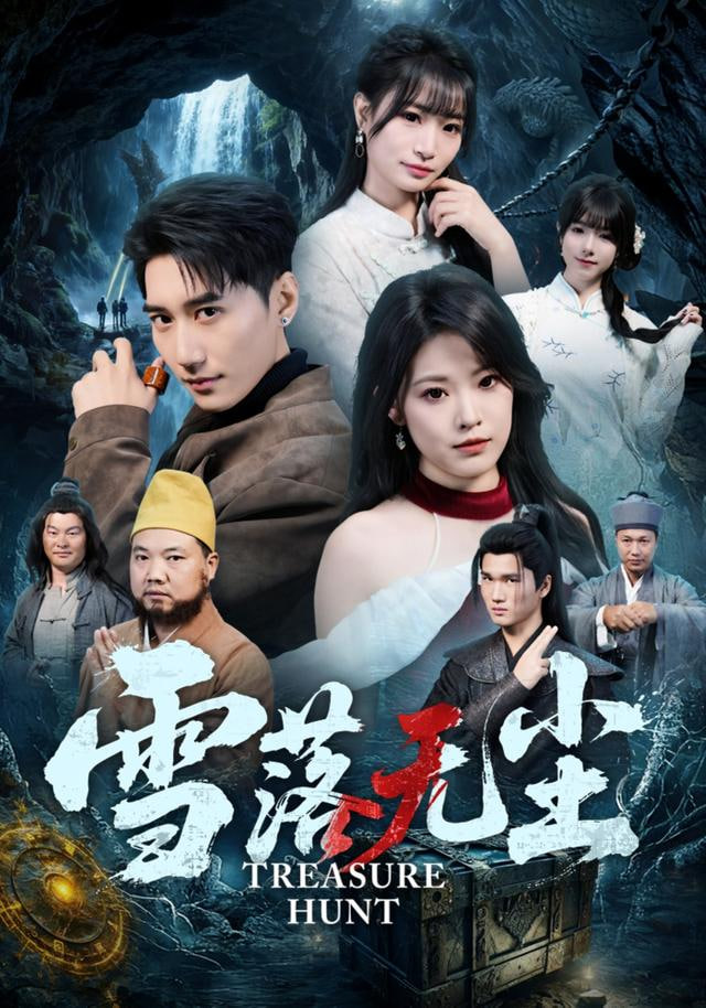 雪落无尘封面图