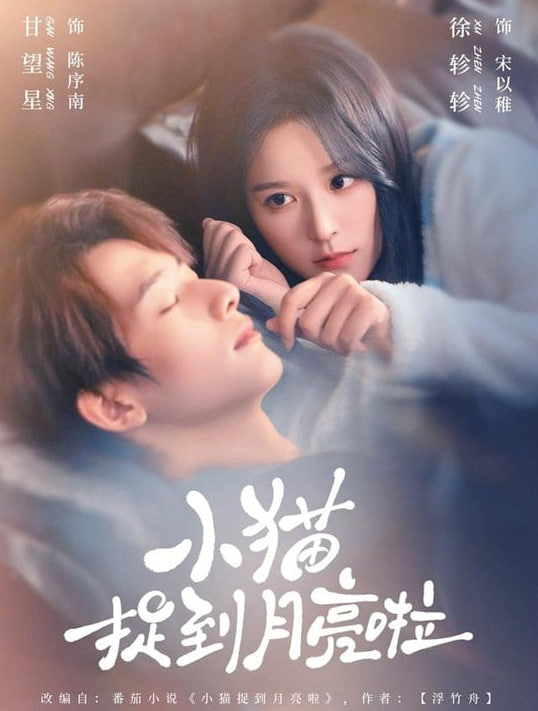 小猫捉到月亮啦封面图